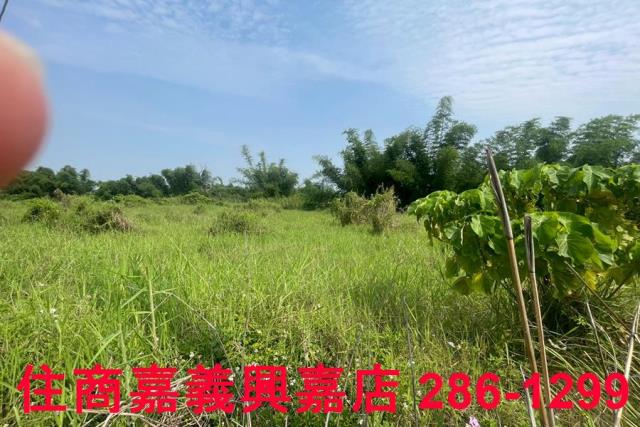 台南農地-2