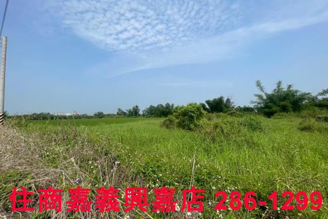 台南農地-4