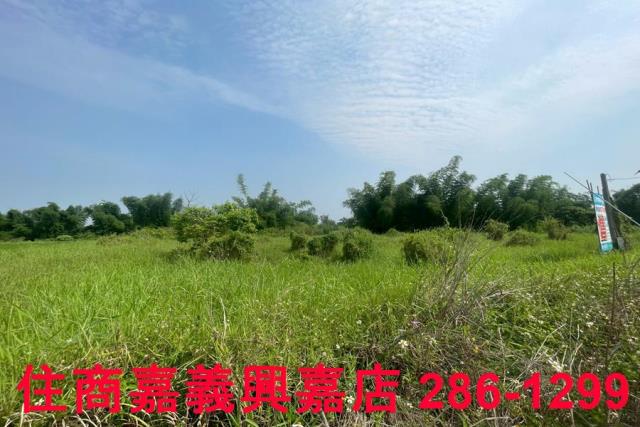 台南農地-5