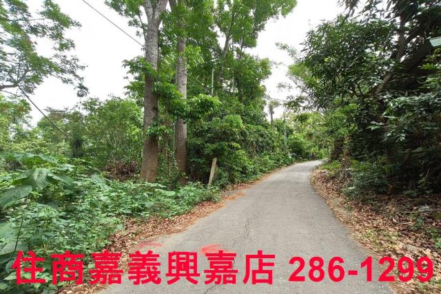 嘉義農地-7