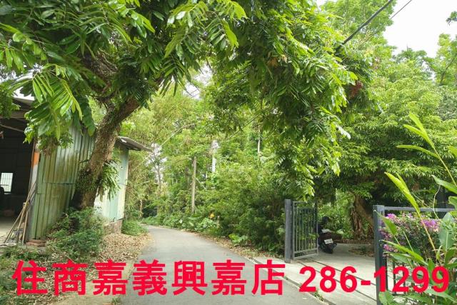 嘉義農地-8