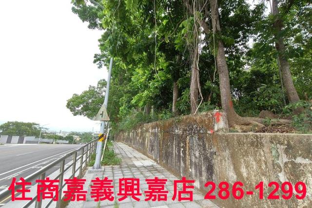 嘉義農地-9