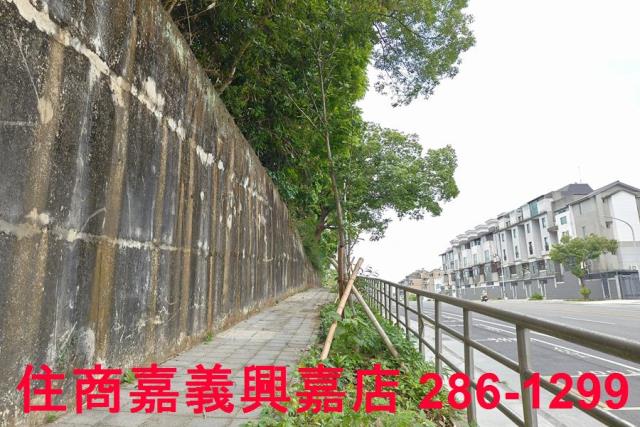 嘉義農地-10