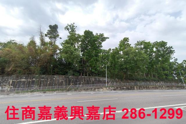 嘉義農地-11