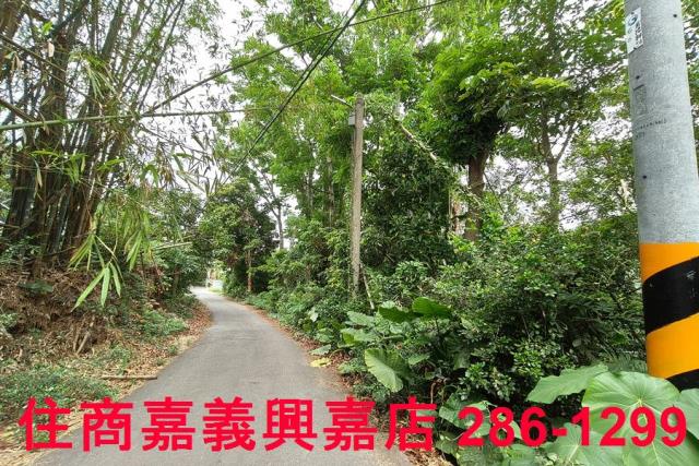 嘉義農地-3