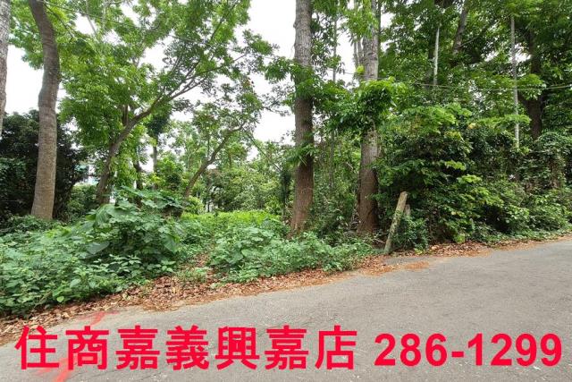 嘉義農地-5