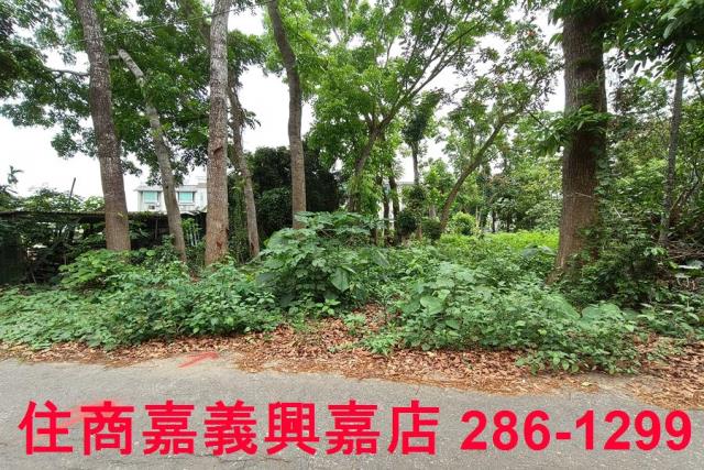 嘉義農地-6