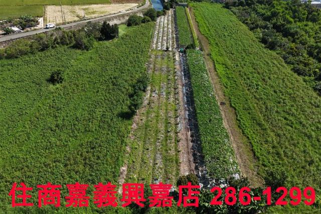 嘉義農地-2