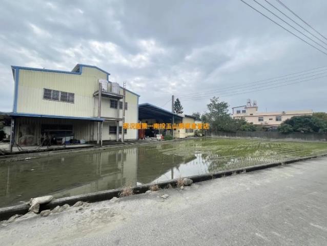 草屯石川乳酪旁農地