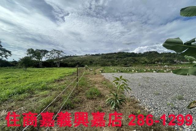嘉義休閒地-10