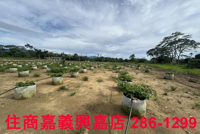 嘉義休閒地-11