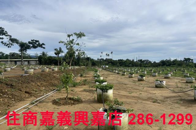 嘉義休閒地-12