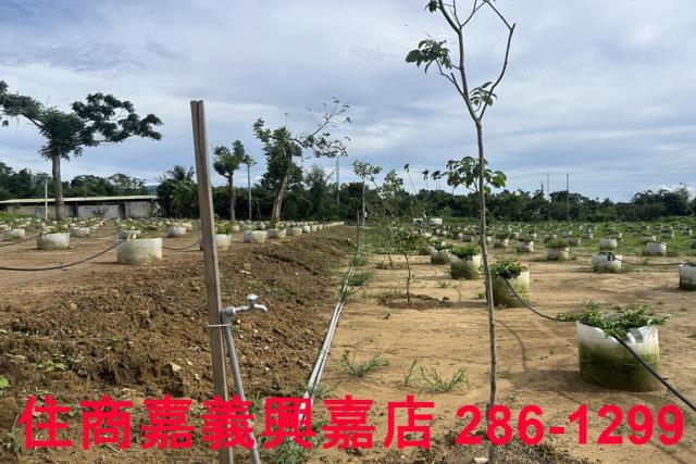 嘉義休閒地-13