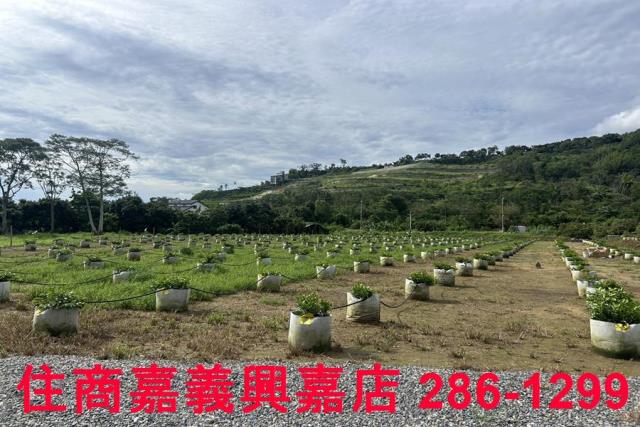 嘉義休閒地-14