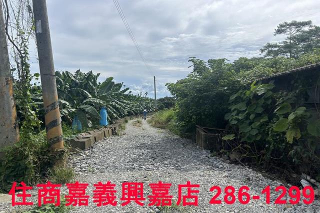 嘉義休閒地-1