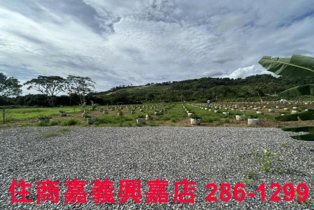 嘉義休閒地-4