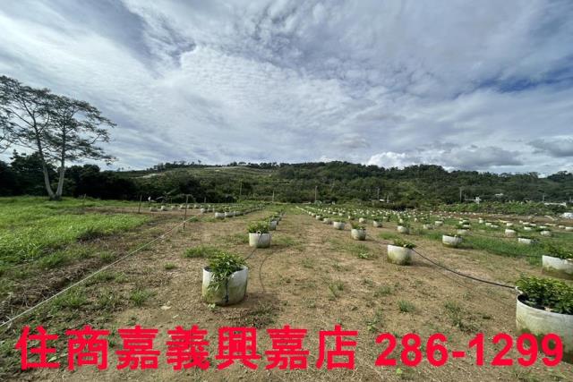 嘉義休閒地-5