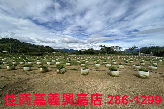 嘉義休閒地-6