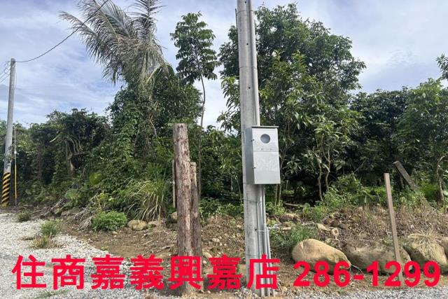 嘉義休閒地-8
