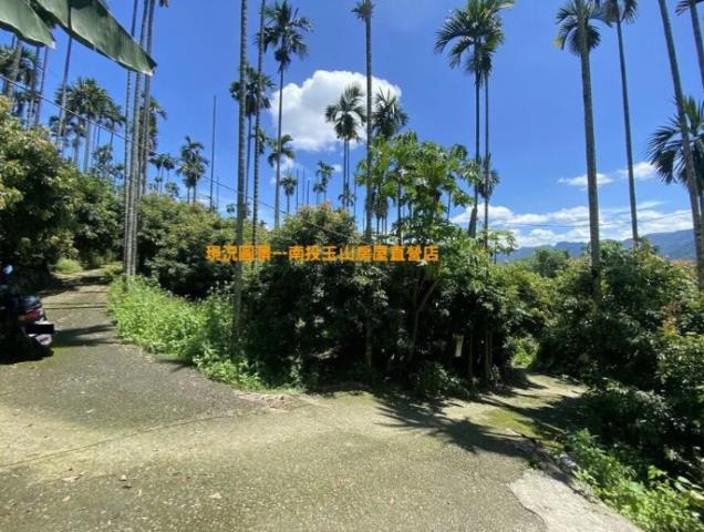 中寮挑米坑荔枝園1甲
