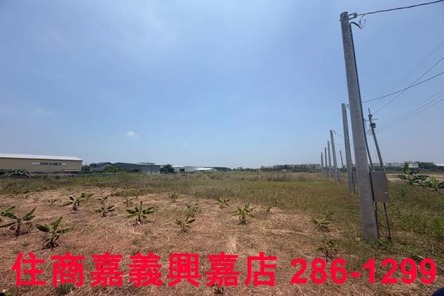 嘉義西區農地-4