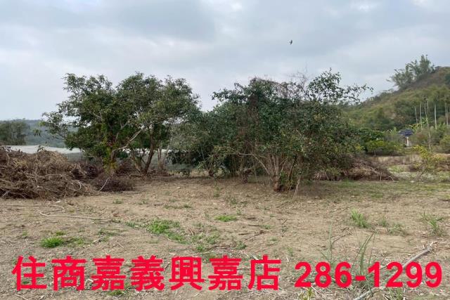 嘉義中埔農地-7