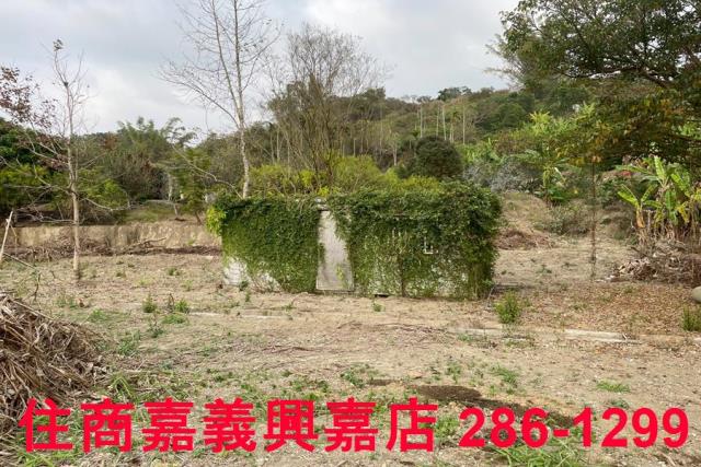 嘉義中埔農地-8