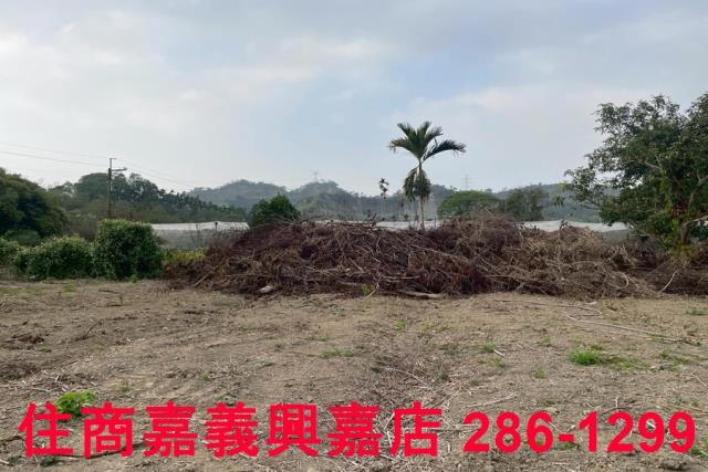 嘉義中埔農地-9