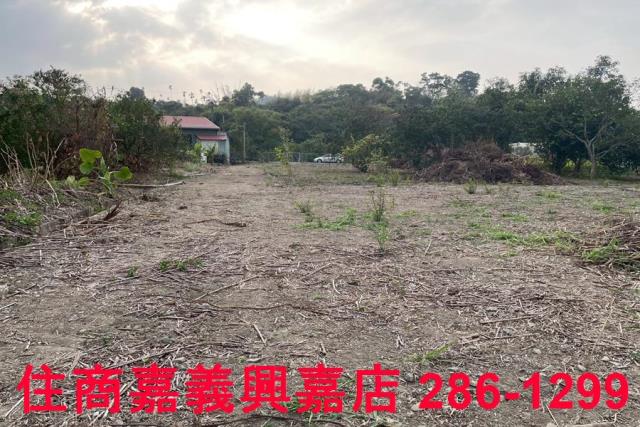 嘉義中埔農地-1