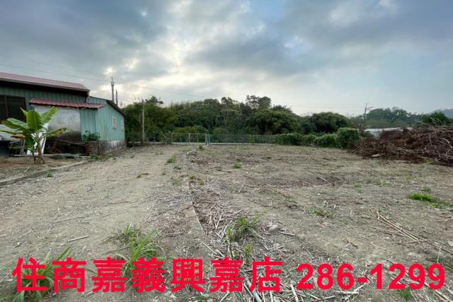 嘉義中埔農地-3