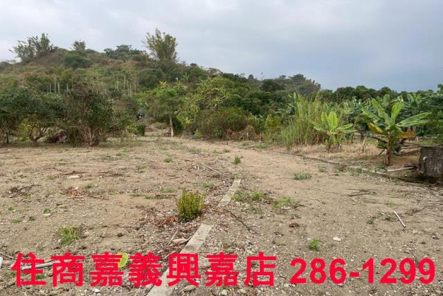 嘉義中埔農地-6