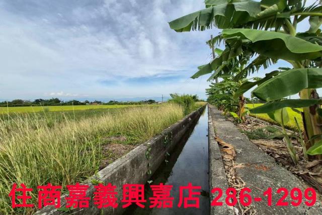 嘉義水上農地-10