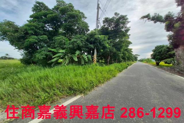 嘉義水上農地-11