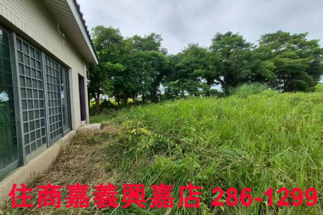 嘉義水上農地-3