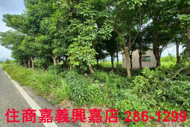 嘉義水上農地-4