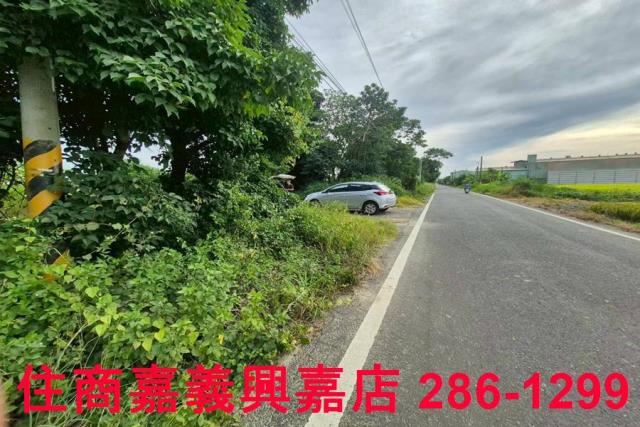 嘉義水上農地-5