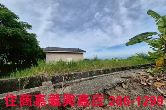 嘉義水上農地-6
