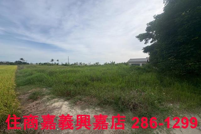 嘉義水上農地-7