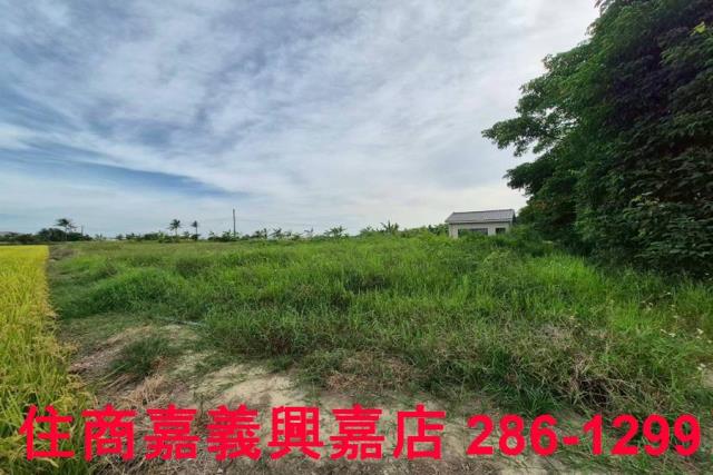 嘉義水上農地-8