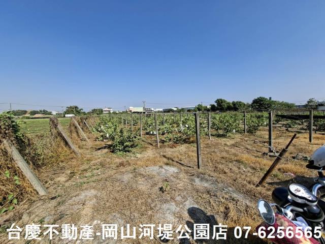 大社國一交流道旁