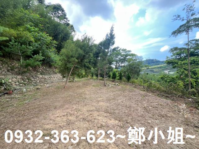 卓蘭農地-12