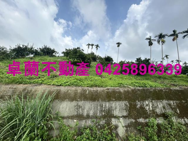 卓蘭農地-12