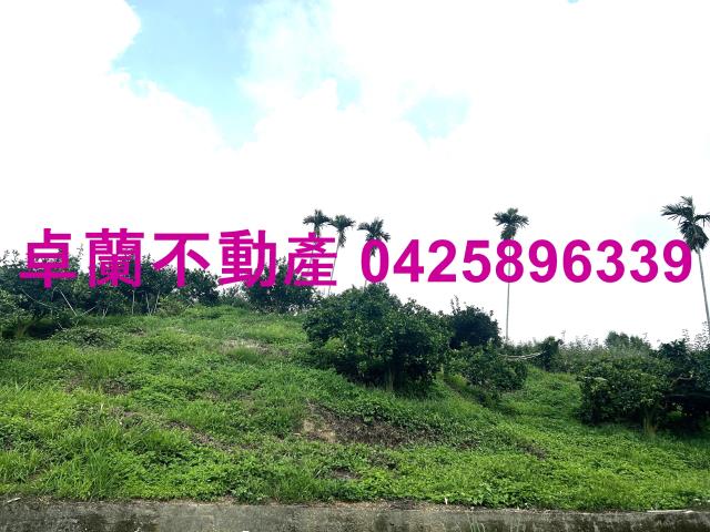 卓蘭大坪林段58分優質果園出售