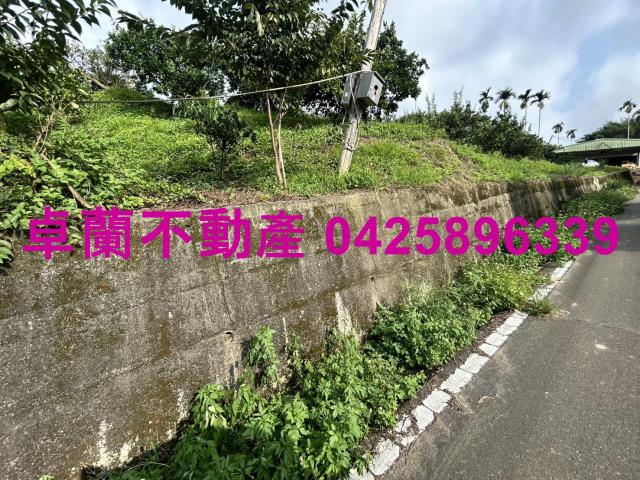 卓蘭農地-5