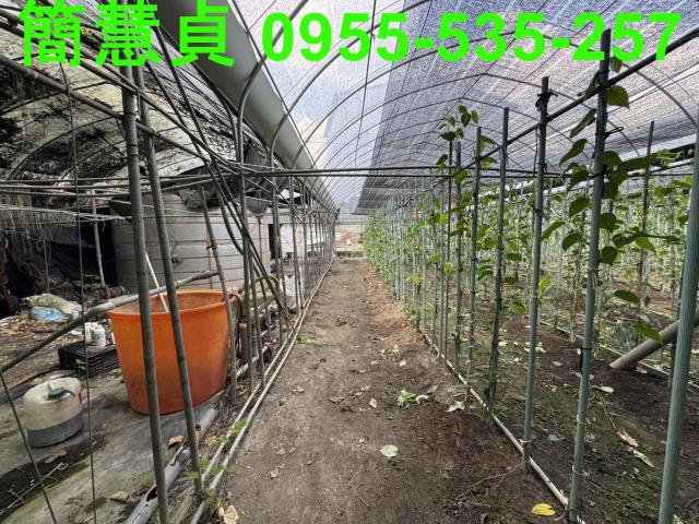 南投土地透天南投房仲草屯房仲