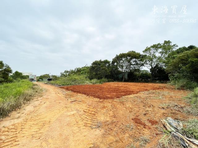 龍井區東海城鄉計畫方正土地8041坪面寬10米