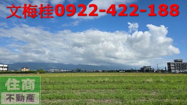 宜蘭宜蘭市農地-10