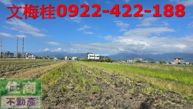宜蘭宜蘭市農地-4