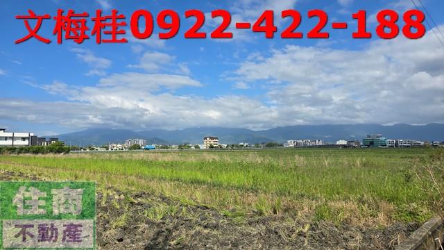 宜蘭宜蘭市農地-7