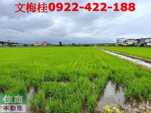 宜蘭農地宜蘭建地壯圍農地
